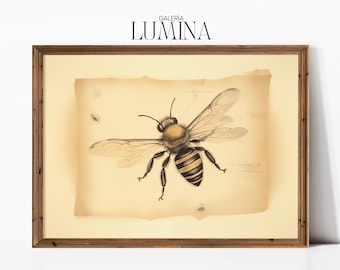 Vintage Bee Drawing Rustic Insect Sketch Antique Botanical Animal Illustration Entomology Art Print Digital Printable Art Frame TV Art 893