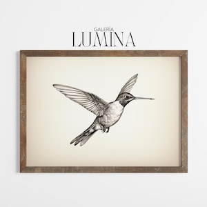 Vintage Hummingbird Pen & Ink Illustration Detailed Hummingbird Drawing Minimalist Bird Illustration Digital Printable Art Frame TV Art 1042