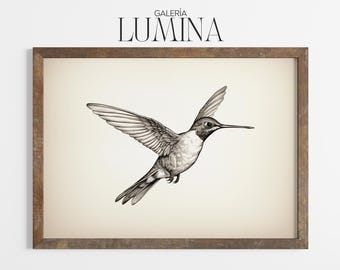 Vintage Kolibri Pen & Ink Illustration Detaillierte Kolibri Zeichnung Minimalistische Vogel Illustration Digital Printable Art Frame TV Art 1042