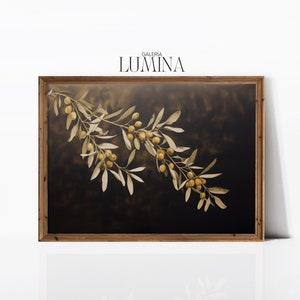 Rustic Olive Branch Painting Minimalist Olive Tree Print Vintage Botanical Art Moody Olive Painting Digital Printable Art Frame TV Art 663