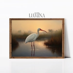 White Ibis Oil Painting Nature Wildlife Art Coastal Bird Wall Decor Elegant Animal Portrait Painting Digital Printable Art Frame TV Art 627