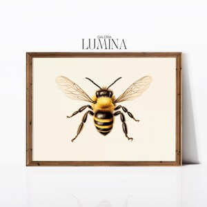 May include: A framed print of a detailed illustration of a honeybee with yellow and black stripes. The print is on a cream background and has a wooden frame.
