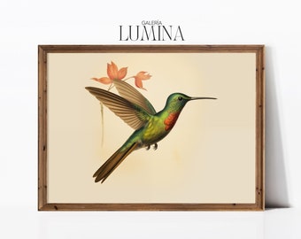 Vintage Streamertail Hummingbird Drawing Red Billed Streamertail Print Rustic Hummingbird Art Print Digital Printable Art Frame TV Art 852