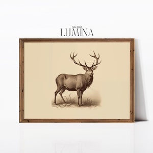 May include: A framed sepia-toned print of a stag with large antlers standing in a field. The print is titled "Galeria Lumina".