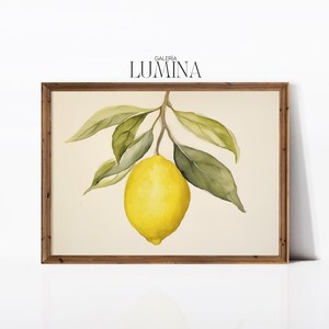 Lemon Watercolor Painting Lemon Still Life Painting Citrus Fruit Print Spanish Kitchen Country Decor Digital Printable Art Frame TV Art 509