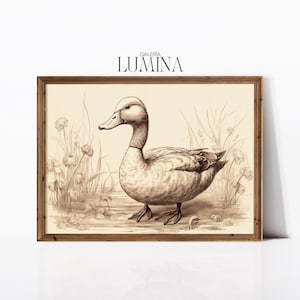 Vintage Duck Sketch Antique Bird Illustration Detailed Pen Drawing Rustic Nursery Duck Drawing Digital Printable Art Frame TV Art 820
