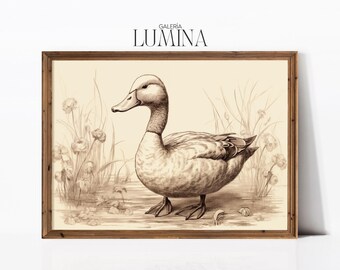 Boceto de pato vintage Ilustración de pájaro antiguo Dibujo detallado a pluma Dibujo de pato de guardería rústica Marco de arte imprimible digital Arte de TV 820