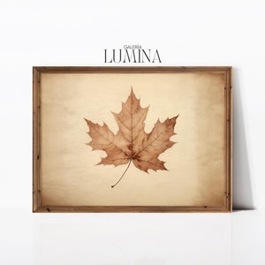 Herbst Ahorn Blatt Zeichnung Vintage Herbst Blatt Zeichnung Neutral Botanische Wand Dekor rustikale Blatt Malerei digital druckbare Kunst Rahmen TV-577