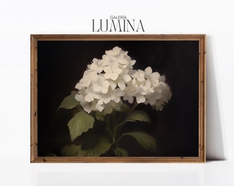 White Hydrangea Flowers Oil Painting Black Background Floral Painting Vintage Botanical Art Print Digital Printable Art Frame TV Art 384