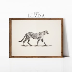 Gepard Spaziergang Bleistift Zeichnung Amerikanischer Druck Antike Tierkunst Vintage Leopard Wandkunst Dschungel Poster Digital druckbare Kunst Rahmen TV Art 049