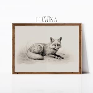 Vintage Fox Pencil Drawing Minimalist Fox Sketch Woodland Animal Sketch Neutral Wildlife Fox Drawing Digital Printable Art Frame TV Art 427