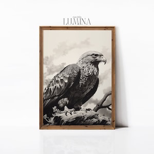 The Hawk Pencil And Ink Original Drawing Wildlife Painting Bird of Prey Drawing Engraving Exotic Bird Digital Printable Art Frame TV Art 073
