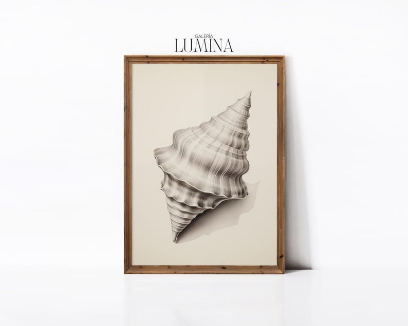 Conch Shell Pencil Drawing Vintage Minimalist Shell Print Beach ...