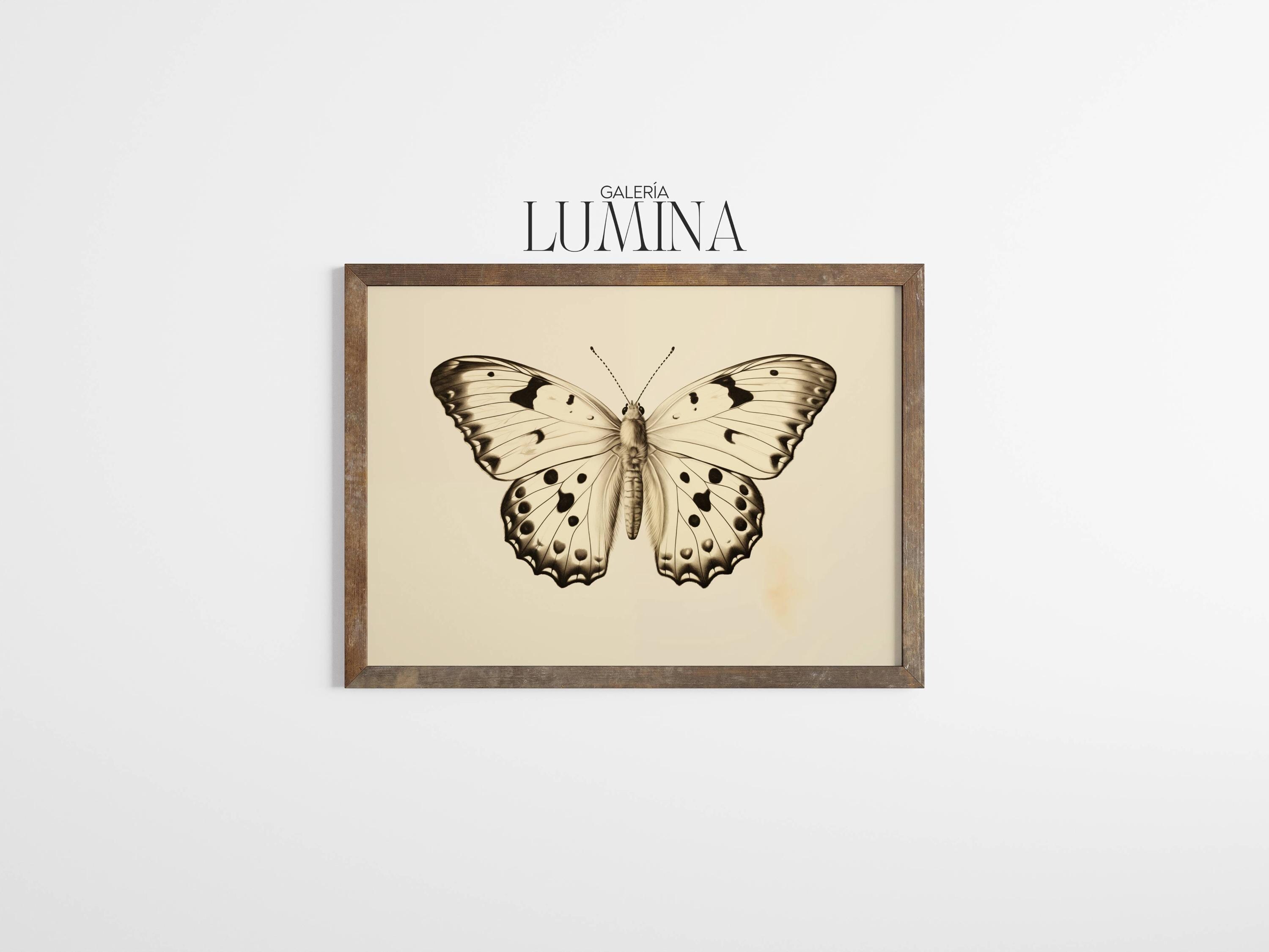 Vintage Butterfly Prints Set: Rustic Antique Insect Art (digital ...