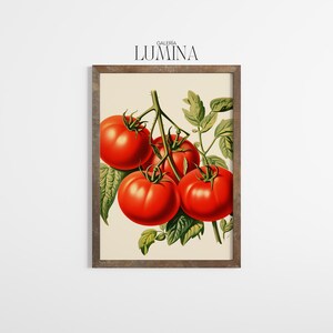 May include: A framed botanical print featuring a cluster of ripe red tomatoes with green leaves and stems. The artwork is set against a cream-colored background and framed in a rustic brown wooden frame. The text "GALERIA LUMINA" is at the top.