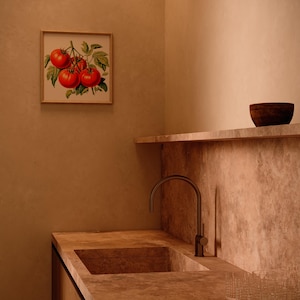May include: A kitchen scene featuring a framed botanical print of ripe red tomatoes with green leaves. The kitchen has a stone countertop with a built-in sink and a dark metal faucet. A wooden bowl sits on a shelf above.