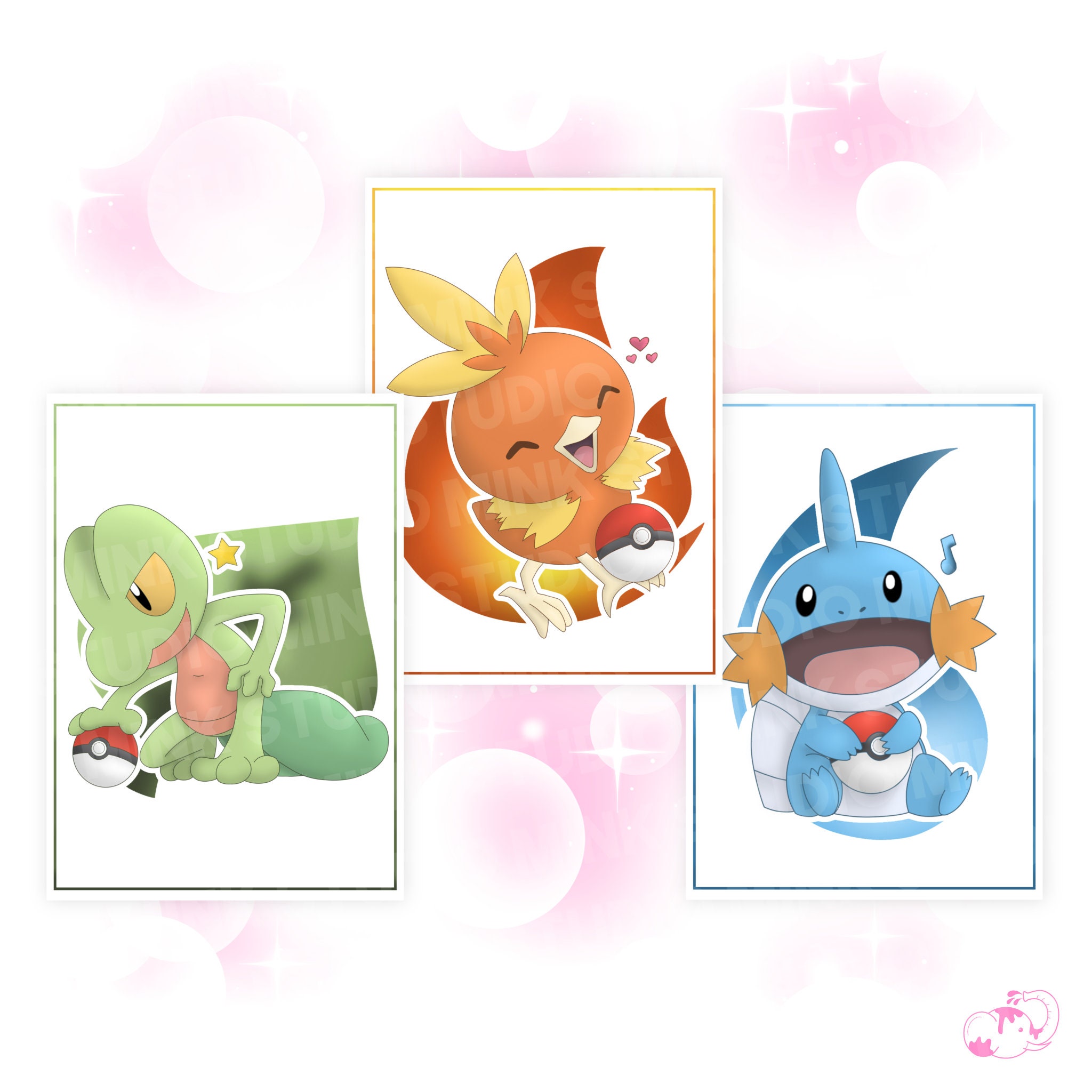 Mignon, treecko, torchic, pokémon Emerald, Blaziken, mudkip