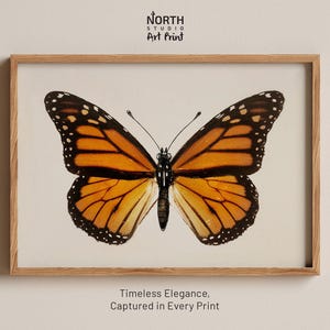 Vintage Orange Schmetterling Druck, dunkle schwermütige Kunst, Insekten Wandkunst, Motte Malerei, Vintage Kunst, Schmetterling Wandkunst, Cottagecore Dekor