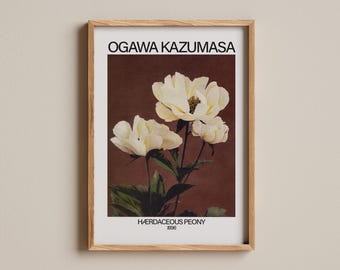 Hærdaceous Pfingstrosendruck, Ogawa Kazumasa handgefärbt, 1896 japanisches botanisches, Vintage Pfingstrosenblumenfoto, klassischer Blumenstilllebendruck