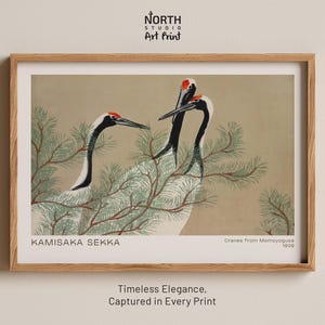 Cranes from Momoyogusa print, Kamisaka Sekka Japanese art print, Vintage illustration, 1909 Pine bird artwork, Japanese decor wall print