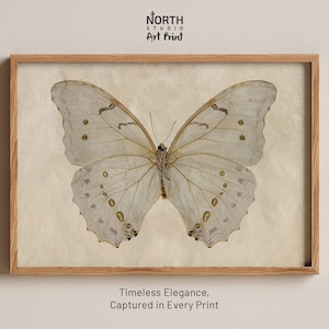 Vintage Butterfly Print, Neutral Wall Art, Natural History Insect Illustration, Minimal Botanical Decor