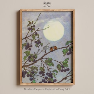 Poster di coccinelle al chiaro di luna, Erich Heinemann, arte vintage, insetti notturni, arte naturalistica, scena al chiaro di luna, pittura di animali selvatici, arte classica