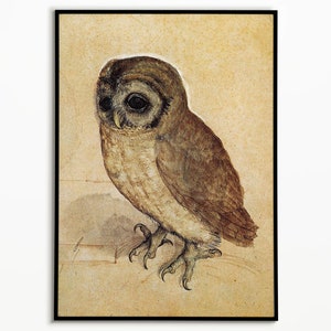 Piccolo gufo Albrecht Durer Poster, Arte murale, Stampa poster, Decorazione murale, Arte rinascimentale, Illustrazione di uccelli, Stampa artistica, Decorazione della natura,