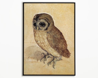 Little Owl Albrecht Durer Poster, Wall Art, Poster Print, Wall Decor, Renaissance Art, Bird Illustration, Art Print, Nature Decor,