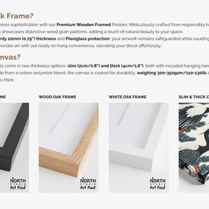 a screen shot of a web page with a picture frame