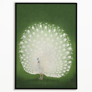 White Peacock Art Poster, Poster, Wall Art, Poster Print, Wall Decor, White Peacock, Art, Birds, Wildlife, Nature, Vintage Style, Retro