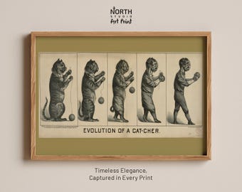 Evolution of a Cat-Cher Print, Antique Cat Art, Funny Baseball Catcher Poster, Victorian Cat Illustration, Quirky Vintage Wall Art
