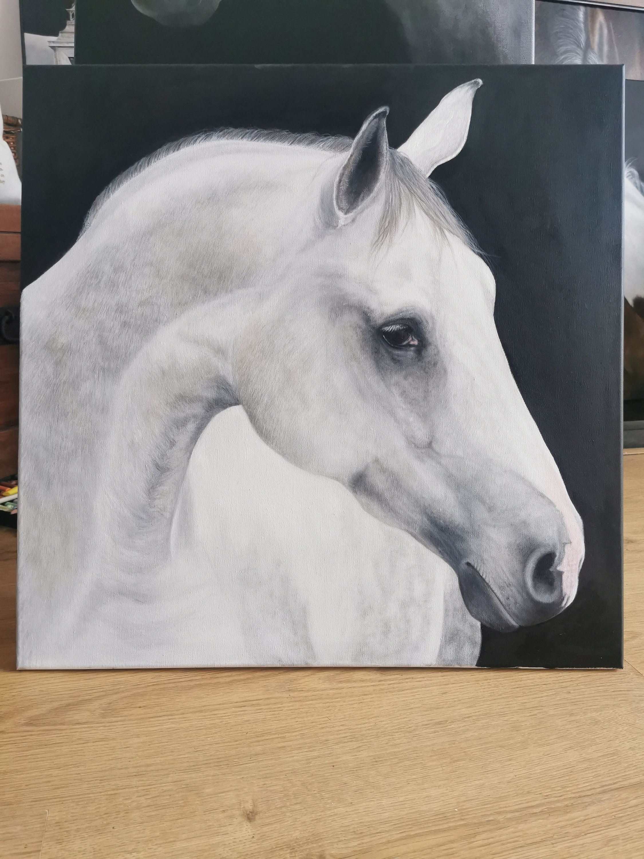White Horse Original Oil Painting on Canvas - Etsy