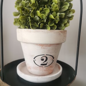 Buxusbal in armoedige pot, vormsnoei, kunstplant