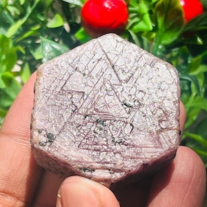 Puede incluir: Una gema de rubí hexagonal en bruto con una superficie texturizada y un patrón interno complejo. La piedra es de un color rosa-púrpura apagado con inclusiones más oscuras. El fondo incluye hojas verdes y una baya roja.