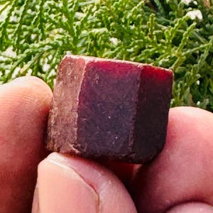 Può includere: Una gemma sfaccettata rosso scuro tenuta tra le dita. La gemma ha una forma rettangolare con sfaccettature visibili e un colore intenso e profondo. Lo sfondo presenta un fogliame verde.