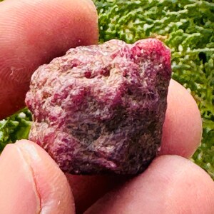 Può includere: Una gemma di rubino grezza, non tagliata, tenuta tra le dita. Il rubino è di un colore rosa e rosso intenso, con una superficie strutturata. Lo sfondo è un fogliame verde sfocato.