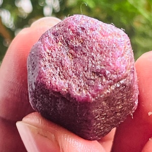 Può includere: Una gemma di rubino grezza, non tagliata, di colore rosso intenso e marrone. La superficie ha un aspetto ruvido e strutturato, con strutture cristalline visibili. La gemma è tenuta tra le dita, mostrando il suo stato naturale e non lucidato.