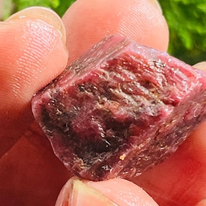 Può includere: Una gemma di rubino grezza, tenuta in mano. La pietra presenta un colore rosso intenso e una superficie strutturata con variazioni di colore, tra cui tonalità più scure e chiare di rosso e marrone. La gemma è un minerale naturale non tagliato.