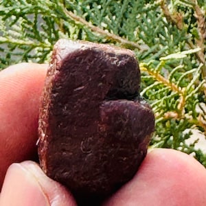 Può includere: Una gemma grezza, rosso scuro, con una superficie strutturata. La pietra è tenuta tra le dita, con un fogliame verde sullo sfondo. La gemma ha un aspetto naturale e non lucido.