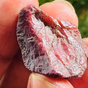 Può includere: Una gemma di rubino grezza, che mostra un colore rosso intenso con trame e variazioni naturali. La pietra ha una struttura cristallina con aree di rosa e bianco più chiari. Il rubino è tenuto in una mano, mostrando la sua forma grezza e non lucidata.
