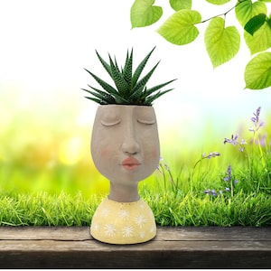 May include: A face-shaped planter with a green succulent. The face is painted in neutral tones with rosy cheeks and lips. The planter has a yellow base with white floral details. The plant pot sits on a wooden surface. The plant pot is suitable for indoor use.