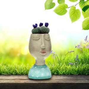 May include: A distinctive, face-shaped planter in light grey, with closed eyes and a calm expression. It contains a green cactus with purple flowers. The base is light blue with white snowflake patterns. The planter rests on a wooden surface.