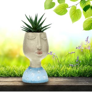 May include: A distinctive, light-coloured face-shaped planter with closed eyes and a light pink mouth. The planter has a blue base with white star-like designs and holds a green succulent plant. The background features green grass, purple flowers, and a bright sky.