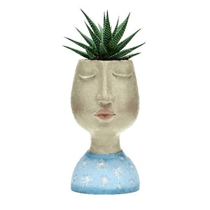 May include: A white ceramic planter shaped like a face with closed eyes and a light pink mouth. The planter has a blue and white patterned base and is filled with a green succulent plant.