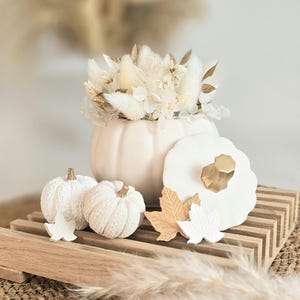 Pumpkin decoration set | Dried flowers | Autumn | Pumpkin with lid | Decoration