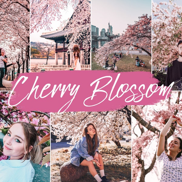 20 Cherry Blossom Lightroom Presets Mobile & Desktop | Cherry Blossom Filter | Pink Bloom Sakura | Instagram, Influencer, Blogger Preset