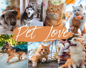 10 ajustes preestablecidos de Lightroom Pet Love para dispositivos móviles y de escritorio | Filtros para mascotas | Animales Perro Gato Mascotas | Instagram, Influencer, Blogger Preset