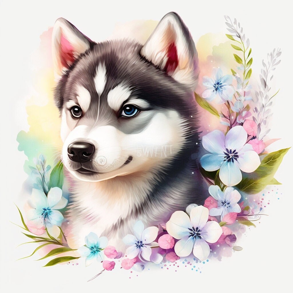 Husky Watercolor Clipart Nursery Decor Husky Dog Watercolor Cute Baby
