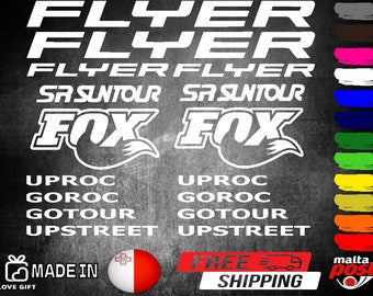 Flyer Electric Bicycle Vinyl Stickers Sheet Bike Frame Cycle Cycling Bicycle Mtb Road