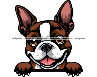 Boston Terriër Peeking Dog Lachend Schattige Puppy Gezicht Hoofd Huisdier Ras Boxer Frans Engels Bulldog Mopshond Tekening Art Logo Kleur Design SVG PNG Cut